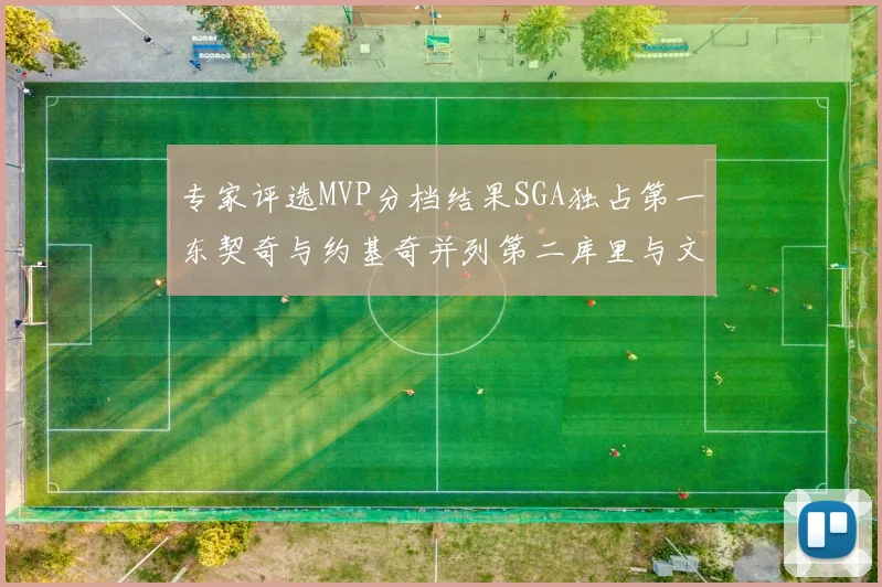 专家评选MVP分档结果SGA独占第一东契奇与约基奇并列第二库里与文班位列第四