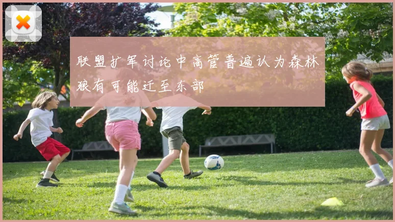 联盟扩军讨论中高管普遍认为森林狼有可能迁至东部