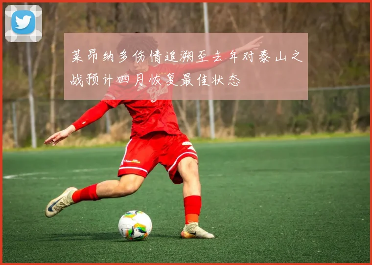 莱昂纳多伤情追溯至去年对泰山之战预计四月恢复最佳状态