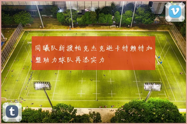 同曦队新援帕克杰克逊卡特赖特加盟助力球队再添实力