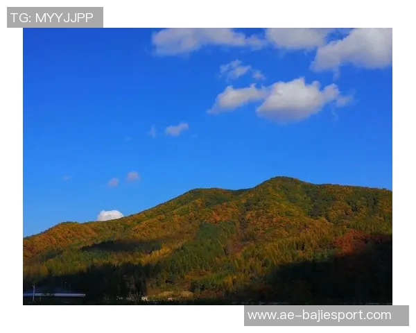 艾弗森回忆童年穿着风格独特自学成才的成长经历分享